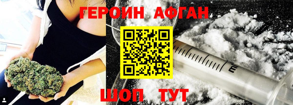 ГЕРОИН хмурый Корсаков