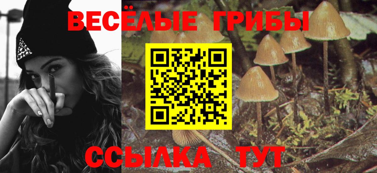Корсаков  Псилоцибиновые грибы MAGIC MUSHROOMS  Вход с VPN 